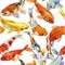 Koi carp seamless pattern. watercolor fish background illustration