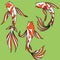 Koi Carp vector clip art set of images cartoon asian fish isolated illustration