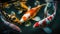 Koi fish in a colorful pond photographed  Generate AI