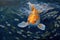 Koi fish or goldfish swims in water, closeup watercolor drawing. Generative AI