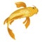 Koi fish icon, Japan golden water symbol