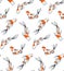 Koi Fish Pattern