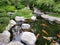  Koi pond design in Japanese friendship garden Balboa park San Diego