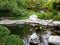 Koi pond in Japanese friendship garden Balboa park San Diego