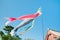 Koinobori: Japanese carp streamers flying over Senso-ji Temple in Tokyo, Japan