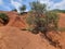 kokkinopilos or red soil in preveza greece hills red like desert