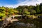 Koko-en Garden with Himeji castle in autumn