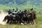 Kokpar - traditional nomad horses competitions