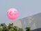 Kolkata, West Bengal / India - November 11 2019: An advertisement balloon of the first ever pink ball, day and night Test cricket