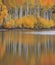 Kolob Reservoir Autumn Reflection