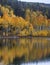 Kolob Reservoir Autumn Reflection