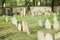 Kolodeje nad Luznici, Czech republic - June 26 2018: Jewish cemetery. Headstones