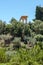 The Kolymbetra Garden at the Valle dei Templi. In background doric columns. Agrigento, Sicily, Italy