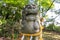 Komainu, or lion-dog, with shimenawa rope and shide, Kanazawa, Japan