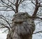 Komainu, or lion-dog, Toyama, Japan