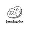 Kombucha doodle icon