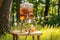 kombucha in glass dispenser with tap at sunny picnic setting
