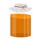 Kombucha tea in glass jar. Homemade fermented probiotic non-alcohol beverage. Vector illustration in flat style