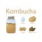 Kombucha tea poster set flat illustration