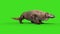 Komodo Dragon Varanus Komodoensis Lizard Walkcycle Green Screen Animation 3D