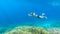 Komodo - A man snorkelling on a coral reef