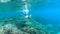Komodo - A man snorkelling on a coral reef
