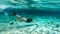 Komodo - A woman snorkelling on a coral reef