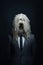 Komondor breed dog wearing a suit