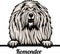 Komondor - Color Peeking Dogs - dog breed. Color image of a dogs head isolated on a white background