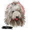 Komondor, Hungarian Komondor, Hungarian Sheepdog, Mop dog digital art illustration isolated on white background. Hungary origin