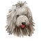 Komondor, Hungarian Komondor, Hungarian Sheepdog, Mop dog digital art illustration isolated on white background. Hungary origin