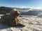 Komondor Hungarian shepherd lies Sunny day in the snow in the mountains