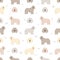 Komondor seamless pattern. Different poses, coat colors set