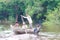KOMPONG PHLUK, CAMBODIA - OCTOBER 24: An unidentified family Kompong Phluk paddling a boat on October 21, 2015 in Kompong Phluk