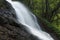 Kondalilla Falls in Kondalilla Falls National Park.