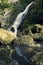 Kondalilla Falls in Kondalilla Falls National Park.