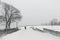 Kondriaronk plateau on Mount Royal, Montreal, in the snow