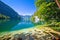 Konigssee Alpine lake idyllic coastline cliffs view