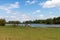 Konik breed horses grazing next to a lake in the natural park Eijsder Beemden