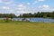 Konik breed horses grazing next to a lake in the natural park Eijsder Beemden