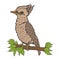 Kookaburra bird animal character cartoon vector