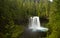 Koosah Falls on the McKenzie River, Oregon, USA