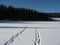 Kootenay Snowshoe on Nancy Greene lake
