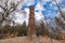 Kopanina Lookout, Bohemian Paradise