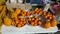 Korea Jeju Island Jeju-do Mandarin Orange tangerine giant oranges