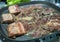 Korean barbecue beef short ribs Kalbi or Galbi