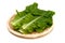 Korean Lettuce-Lactuca sativa