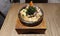 Korean Rice in Stone Pot Bibimbap