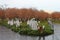 Korean War Memorial on Misty Morning Washington DC