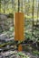 Koshi chimes sound healing instrument